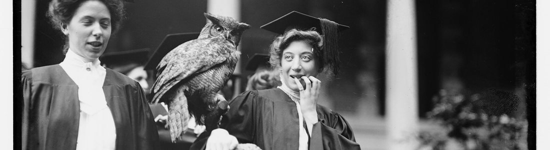 После учёбы в США